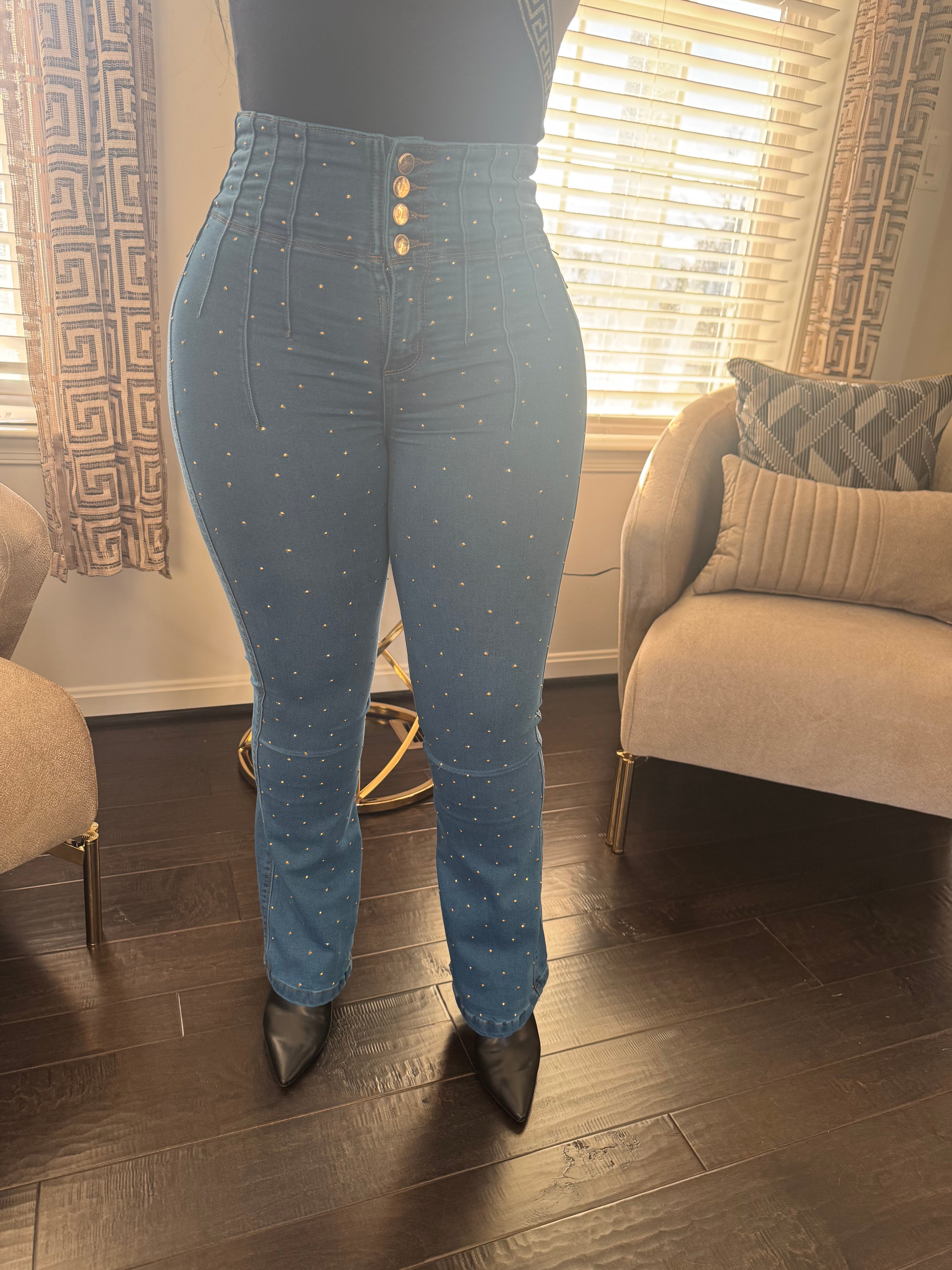 Sarita Colombian Jean with internal girdle style 180 panty