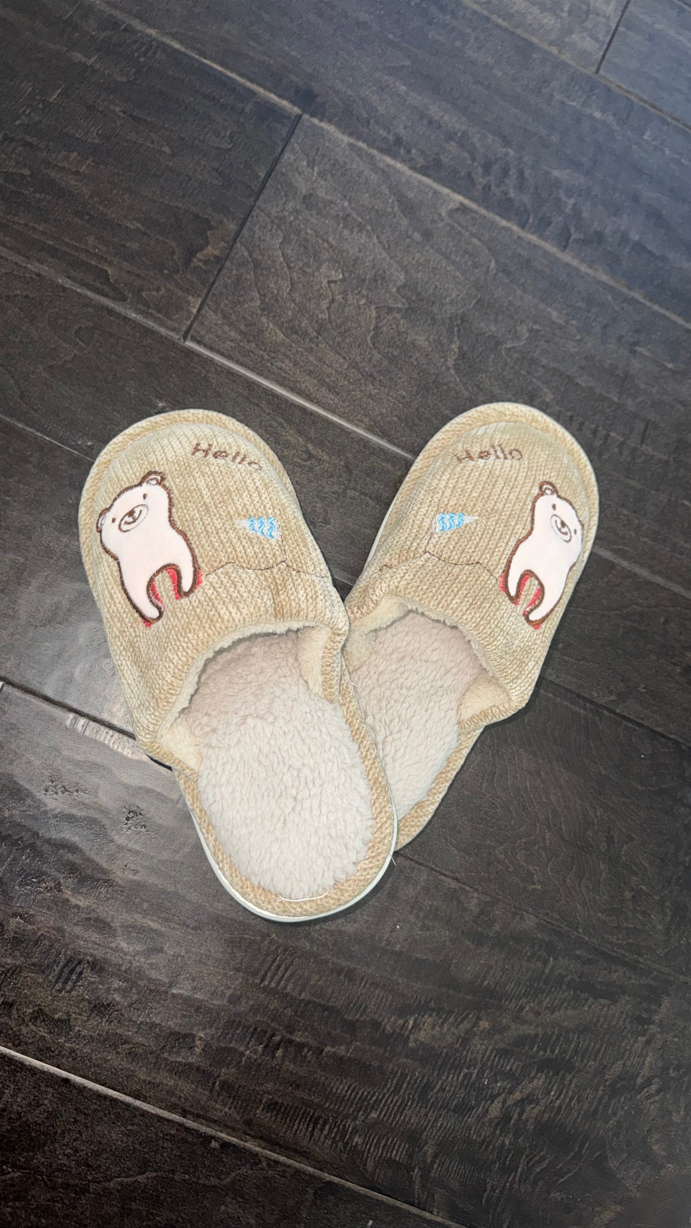 Cozy Fuzzy Slippers with Bear Design